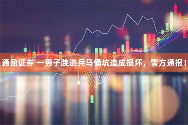 通盈证券 一男子跳进兵马俑坑造成损坏，警方通报！