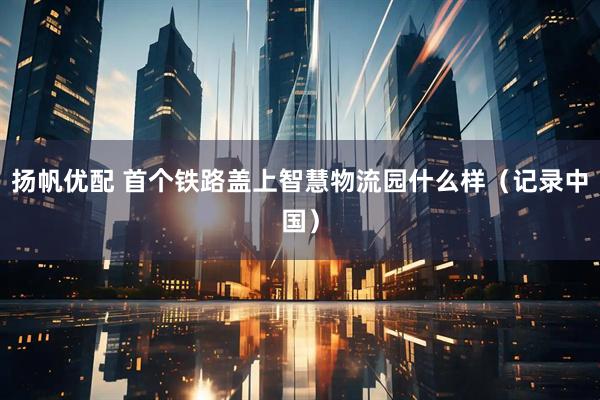 扬帆优配 首个铁路盖上智慧物流园什么样（记录中国）