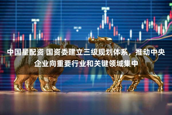 中国星配资 国资委建立三级规划体系，推动中央企业向重要行业和关键领域集中