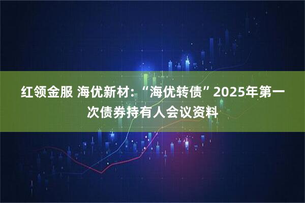 红领金服 海优新材: “海优转债”2025年第一次债券持有人会议资料