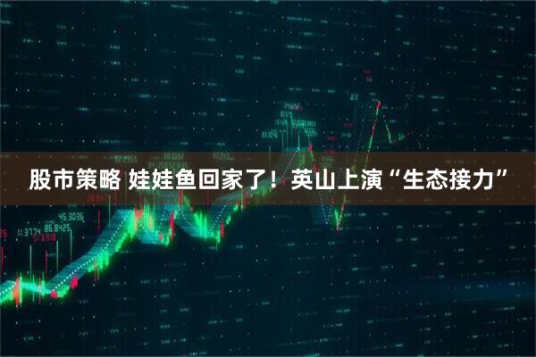 股市策略 娃娃鱼回家了！英山上演“生态接力”