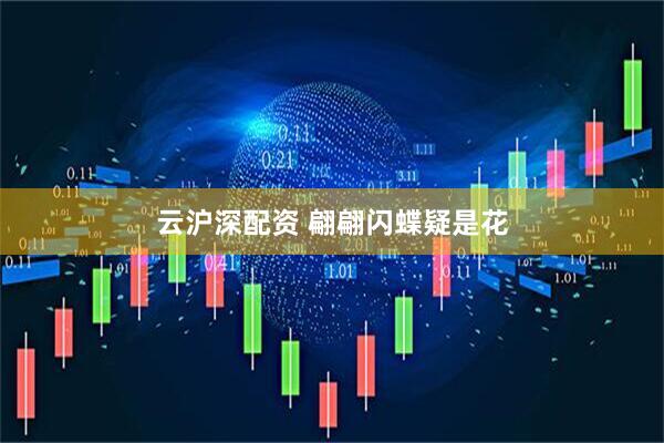 云沪深配资 翩翩闪蝶疑是花