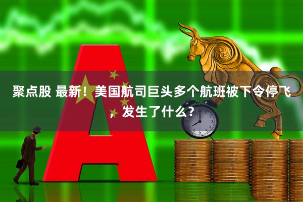 聚点股 最新！美国航司巨头多个航班被下令停飞，发生了什么？
