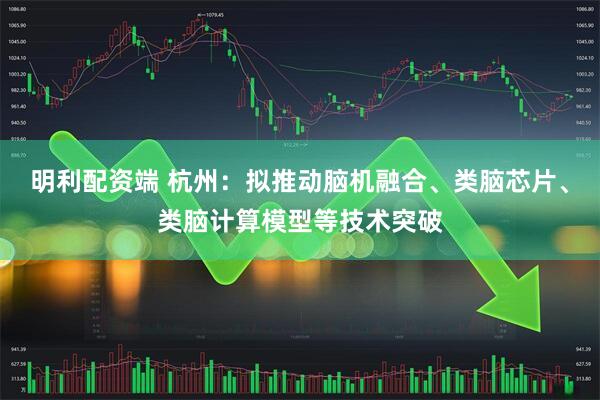 明利配资端 杭州：拟推动脑机融合、类脑芯片、类脑计算模型等技术突破