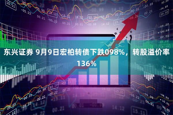 东兴证券 9月9日宏柏转债下跌098%,转股溢价率136%